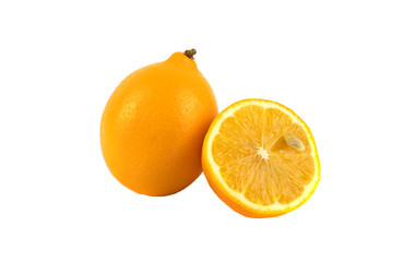One yellow lemon citrus and sliced lemon on a white background