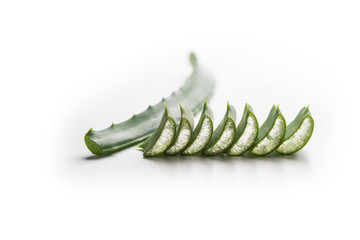 Aloe vera slice on white background