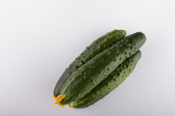 cucumber cucumber isolated on white background close-up