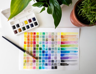 Watercolor color pallete and brush over a white table beside home plants