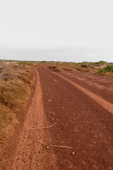 Red earth road with tire tracks