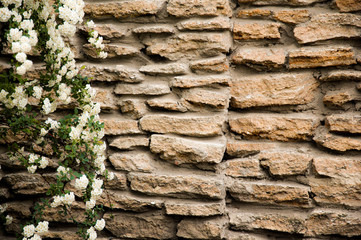 wall of wild stone, background