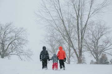 family walking in the snow