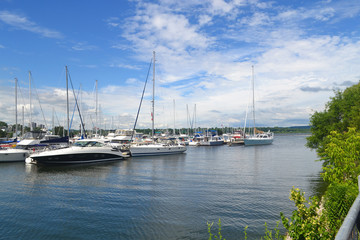 Fototapeta na wymiar Sailboats in the harbor of Hamilton