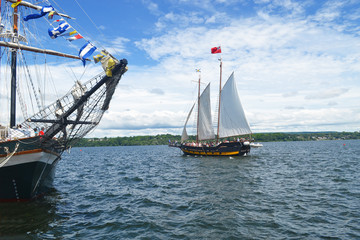 Fototapeta na wymiar Two sailboats in the harbor of Hamilton
