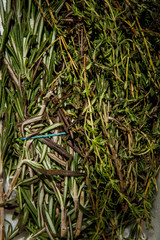 top view closeup on pile of fresh and dried green rosemary herb bunches