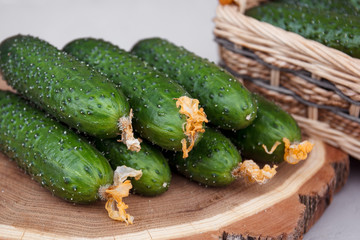 cucumbers on the table