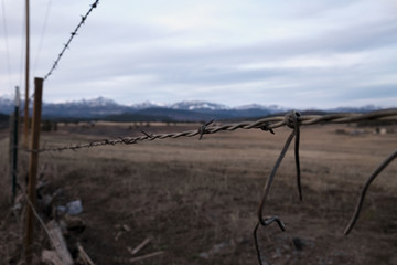 Barbed Wire