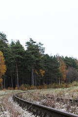 old rustic empty train railway and autumn forest