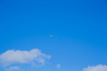 Segelflugzeug