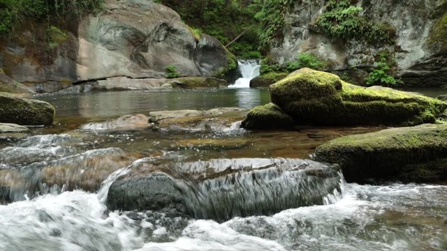 Whatcom River Flowing Down Cascading Falls and Over Beautiful Moss Covered Rocks