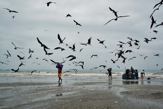 Fisherman Walks Carrying Fish Box