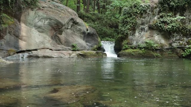 Whatcom River Flowing Down Cascading Falls and Over Beautiful Moss Covered Rocks