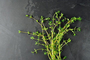 Thyme herb bunch on dark grunge table background. © nikavera