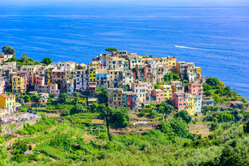 Obraz premium Corniglia - Village of Cinque Terre National Park at Coast of Italy. Province of La Spezia, Liguria, in the north of Italy - Travel destination and attractions in Europe.