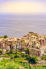 Obraz premium Corniglia - Village of Cinque Terre National Park at Coast of Italy. Province of La Spezia, Liguria, in the north of Italy - Travel destination and attractions in Europe.