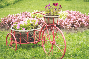 Flowerbed in the shape of a retro bicycle with baskets and flowers