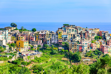 Obraz premium Corniglia - Village of Cinque Terre National Park at Coast of Italy. Province of La Spezia, Liguria, in the north of Italy - Travel destination and attractions in Europe.
