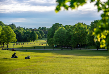 Naherholung im Münchner Westpark: Eingang / Tor / Bogen - Saftiges Grün und Wiesen im Abendlicht