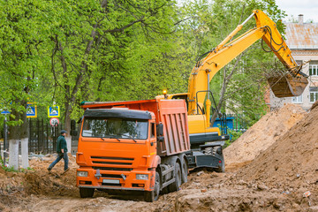 Excavator loads sawn sections of the tree trunks.