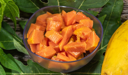 Papaya (Carica papaya L.) chopped in bowl and fresh fruit among papaya leaves