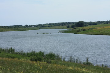 the river in the summer