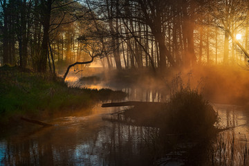 dawn on the river 2 © micha