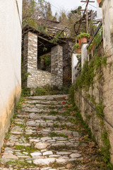Fototapeta na wymiar Traditional house in Pilio
