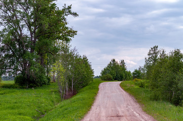 Fototapeta na wymiar View of a dirt road among the fields, with trees on the side of the road, a quiet spring evening