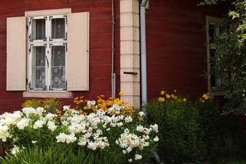 Fototapeta na wymiar Typical window architecture and colorful garden and house in Baltic state