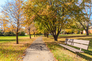 G.D. Archibald West Park