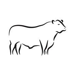 Illustration silhouette angus cattle animal logo vector design - obrazy, fototapety, plakaty