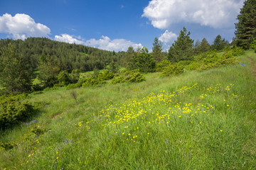 Rhodope Mountains near village of Dobrostan, Bulgaria