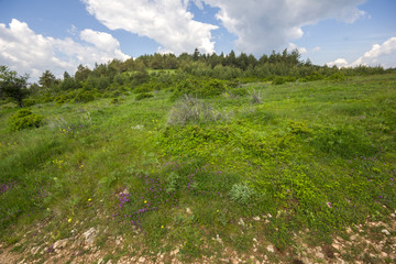 Rhodope Mountains near village of Dobrostan, Bulgaria