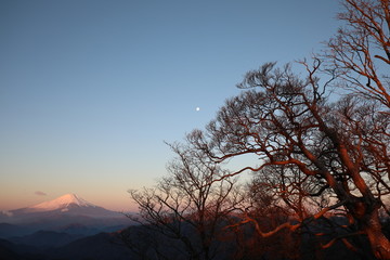 Mt. Fuji and clear sky in the early morning