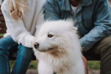 Naklejka premium Unrecognizable couple enjoying weekend sitting on bench with dog