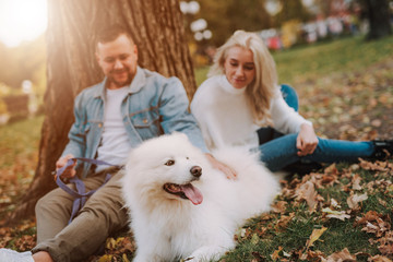 Couple enjoying weekend with dog, sitting on grass near tree