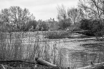 Henares river as it passes through Alcalá de Henares in winter: water drop near the boatman's...