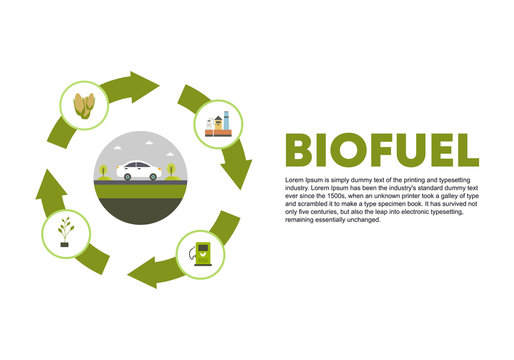 Biofuel Life Cycle Vector, Lignocellulosic Biomass Production, Ethanol From Corn, Plants, Wood, Flat Design Vector Illustration. Fabrication Of Biodiesel For Car.