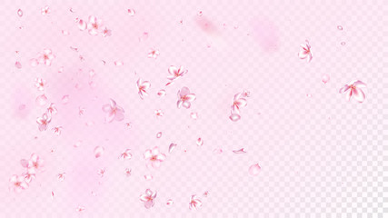Nice Sakura Blossom Isolated Vector. Feminine Showering 3d Petals Wedding Texture. Japanese Blurred Flowers Illustration. Valentine, Mother's Day Beautiful Nice Sakura Blossom Isolated on Rose