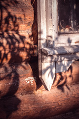 Old white painted wooden window with peeling paint from time to time on a wooden log facade lit by a bright sun casting a shadow from a tree. Selective focus macro shot with shallow Depth of field