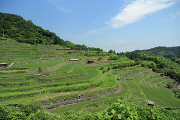 やまぐちの棚田２０選　山口県　周南市　小畑地区の棚田