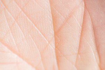 close-up of human hand skin