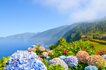 Colorful flowers and beautiful northern coast of Madeira Island, Portugal. Typical Hydrangea, Hortensia flowers. Amazing coastal landscape by Atlantic ocean. Selective focus, blurred background. - obrazy, fototapety, plakaty