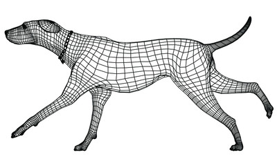 Runing dog polygonal lines illustration. Abstract vector dog on the white background