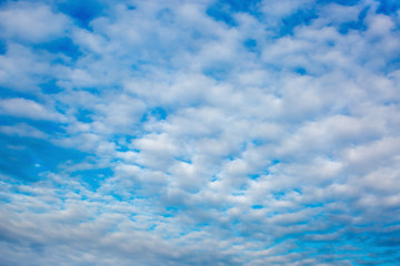 Fototapeta premium Blue sky with white clouds. Gentle sky background