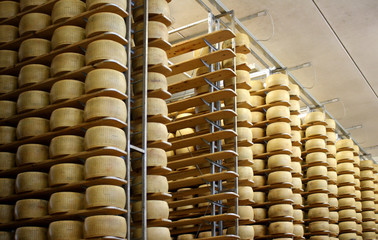 STAGIONATURA DI FORMAGGIO ITALIANO