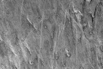 Close-up for text. Stones for the background. Stone texture. Abstract background texture of stone. Limestone texture for background.