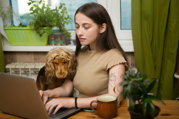 a young girl is typing at a computer in the home office, her beloved dog is standing next to her. the student is preparing for the exam.