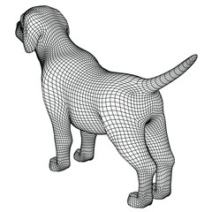 Puppy polygonal lines illustration. Abstract vector dog on the white background